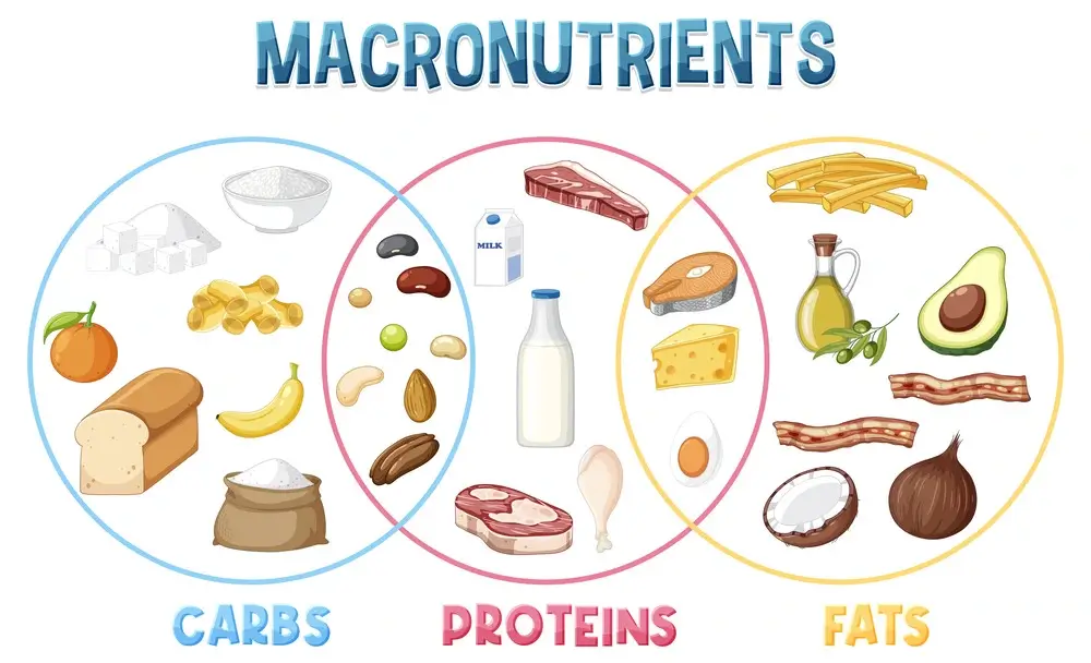 Balancing macronutrients for optimal recovery