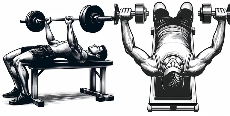 Chest Exercises (Bench Press, Flyes)